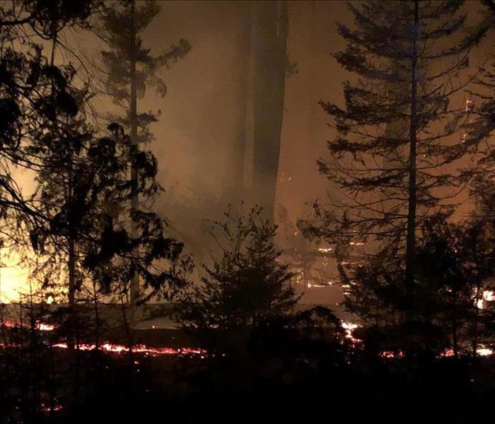 photo of creek fire, trees burning